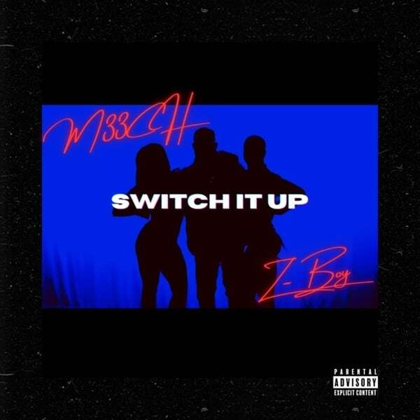 Cover art for Switch It Up